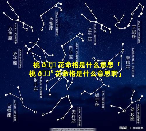 桃 🦋 花命格是什么意思「桃 🐳 花命格是什么意思啊」